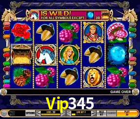 Descubra a Magia dos Jogos de Arcade no Vip345